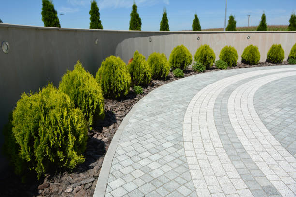 Best Brick Driveway Pavers  in Burkesville, KY